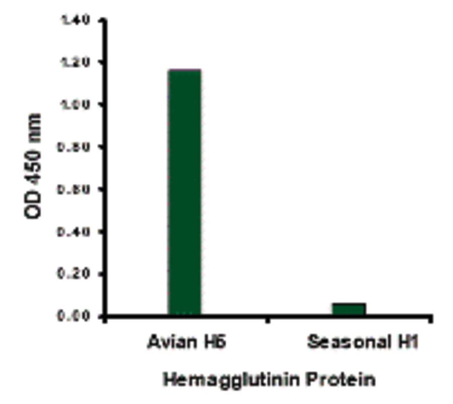 Polyclonal Goat anti-Virus Influenza A Virus Hemagglutinin Antibody