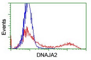 DNAJA2 Antibody (clone OTI1G9)