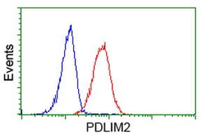 PDLIM2 / SLIM Antibody (clone OTI1D12)