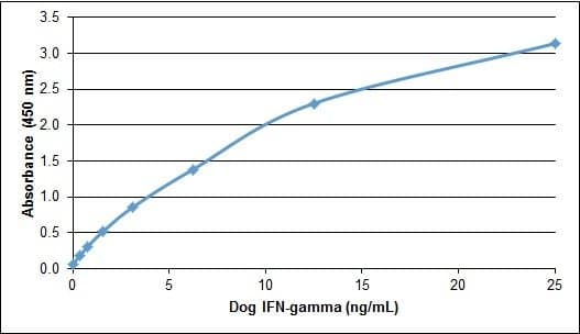 Dog IFN Gamma / Interferon Gamma Protein (Recombinant)