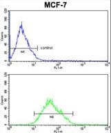 COX5A Antibody (aa46-73)