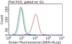 ERBB3 / HER3 Antibody (clone OTI1A6)