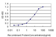 Monoclonal Mouse anti-Human CIDEB Antibody (clone 2A10, IHC, WB)