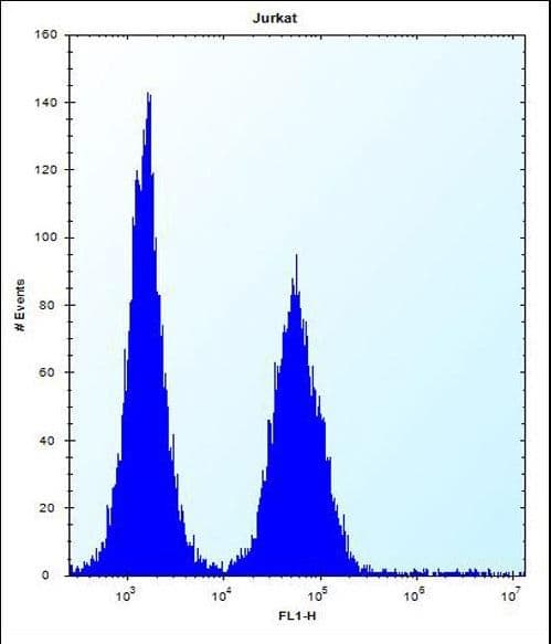 ABI2B / ABI2 Antibody (aa1-30)