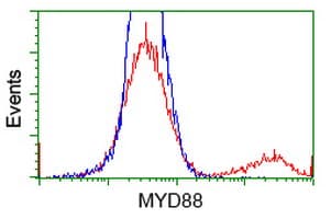 IHC-plus™ MYD88 Antibody (clone 1B4)