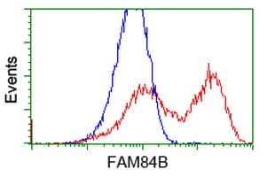 FAM84B Antibody (clone OTI2E7, Carrier-free)