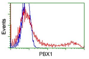 PBX1 Antibody (clone OTI1D9)