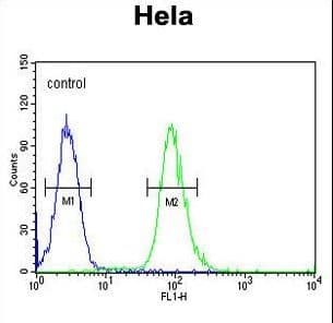 IHC-plus™ CLDN7 / Claudin 7 Antibody (aa172-201)