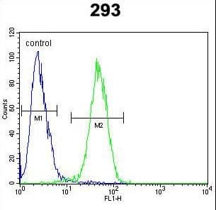 CLDN12 / Claudin 12 Antibody (aa19-46)