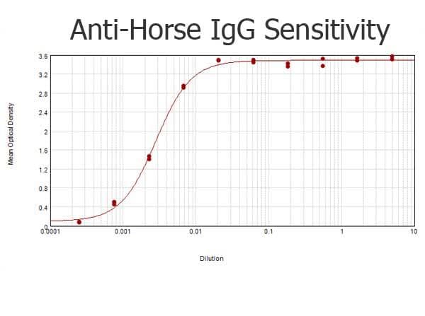 Rabbit Anti-Horse IgG Secondary Antibody (HRP)