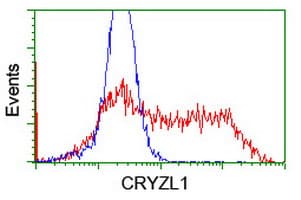 CRYZL1 Antibody (clone OTI2C3)