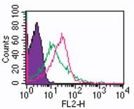 IHC-plus™ Polyclonal Rabbit anti-Human TLR1 Antibody (aa400-450, IHC, WB)