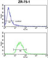 PTGER2 / EP2 Antibody (aa118-147)