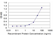 Osteonectin / SPARC Antibody (clone 1B2)