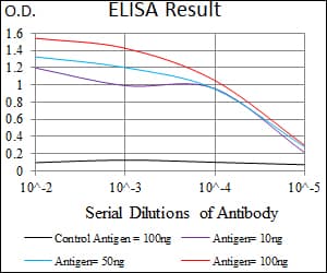 TUBB2A / Tubulin Beta 2A Antibody (aa25-187, clone 6A10B2)