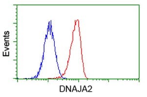 DNAJA2 Antibody (clone OTI3H10)
