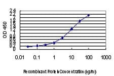 Monoclonal Mouse anti-Human CD81 Antibody (clone 2B7)