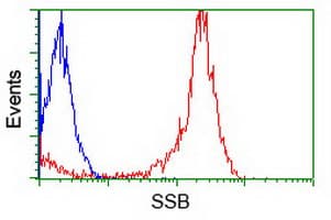 IHC-plus™ SSB / La Antibody (clone 1E11)