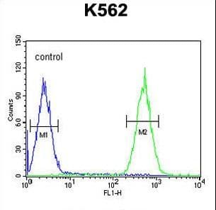 PURG Antibody (aa225-253)