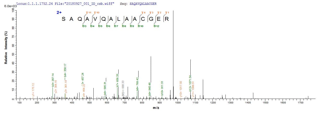 Shigella flexneri grxD Protein (Recombinant 6His-SUMO, N-terminus)