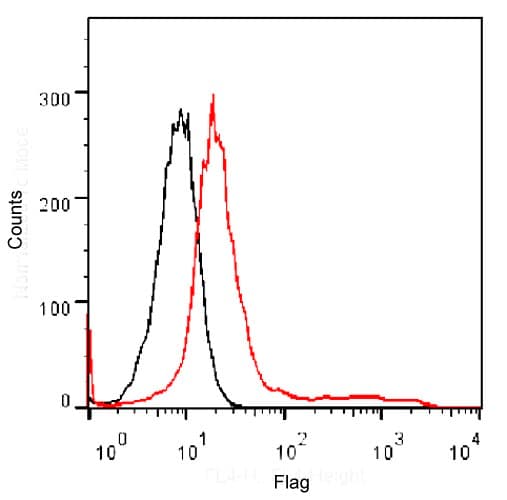 Monoclonal Mouse DYKDDDDK Tag Antibody (HiLyte Fluor 647, IF)