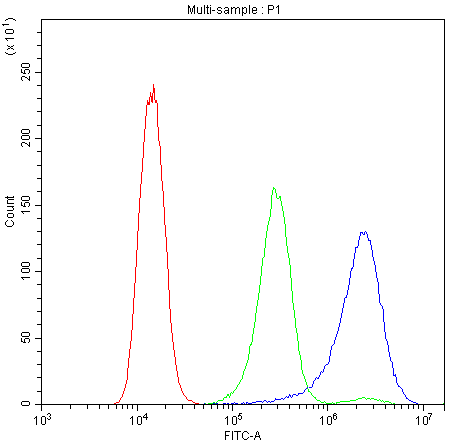 BIK Antibody (aa1-123)