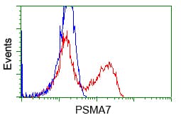 PSMA7 Antibody (clone OTI3F11)