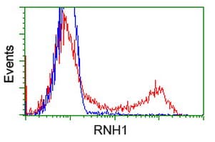 RNH1 Antibody (clone OTI4G4)