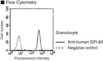 Monoclonal Mouse anti-Human VNN2 Antibody (clone 3H9, WB)
