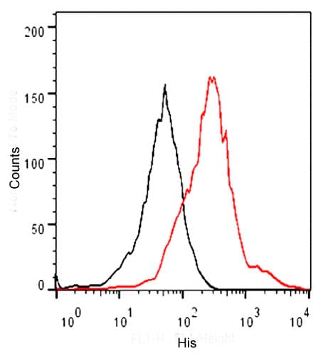 His Tag Antibody (HiLyte Fluor 488)