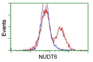 NUDT6 Antibody (clone OTI9D12)