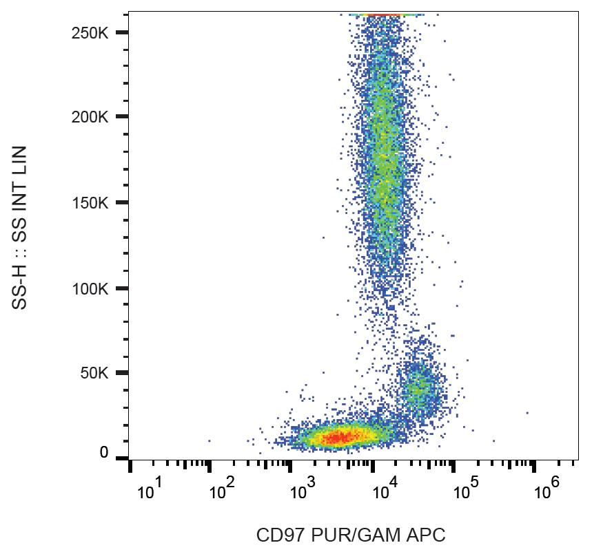 ADGRE5 / CD97 Antibody (clone MEM-180)