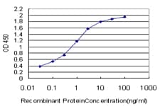 VAMP1 / VAMP-1 Antibody (clone 5A4)