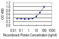 Monoclonal Mouse anti-Human GLO1 / Glyoxalase I Antibody (clone 4C12)