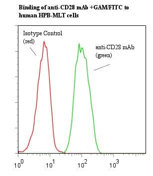 CD28 Antibody (clone ANC28.1/5D10)