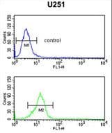 IHC-plus™ OLIG3 Antibody (aa74-100)