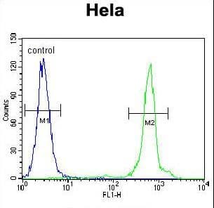 IHC-plus™ UQCRFS1 Antibody (aa181-209)