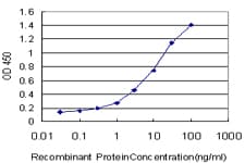 SERPINB2 / PAI-2 Antibody (clone 3A9)
