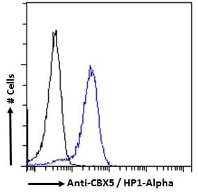 IHC-plus™ CBX5 / HP1 Alpha Antibody (aa88-102)