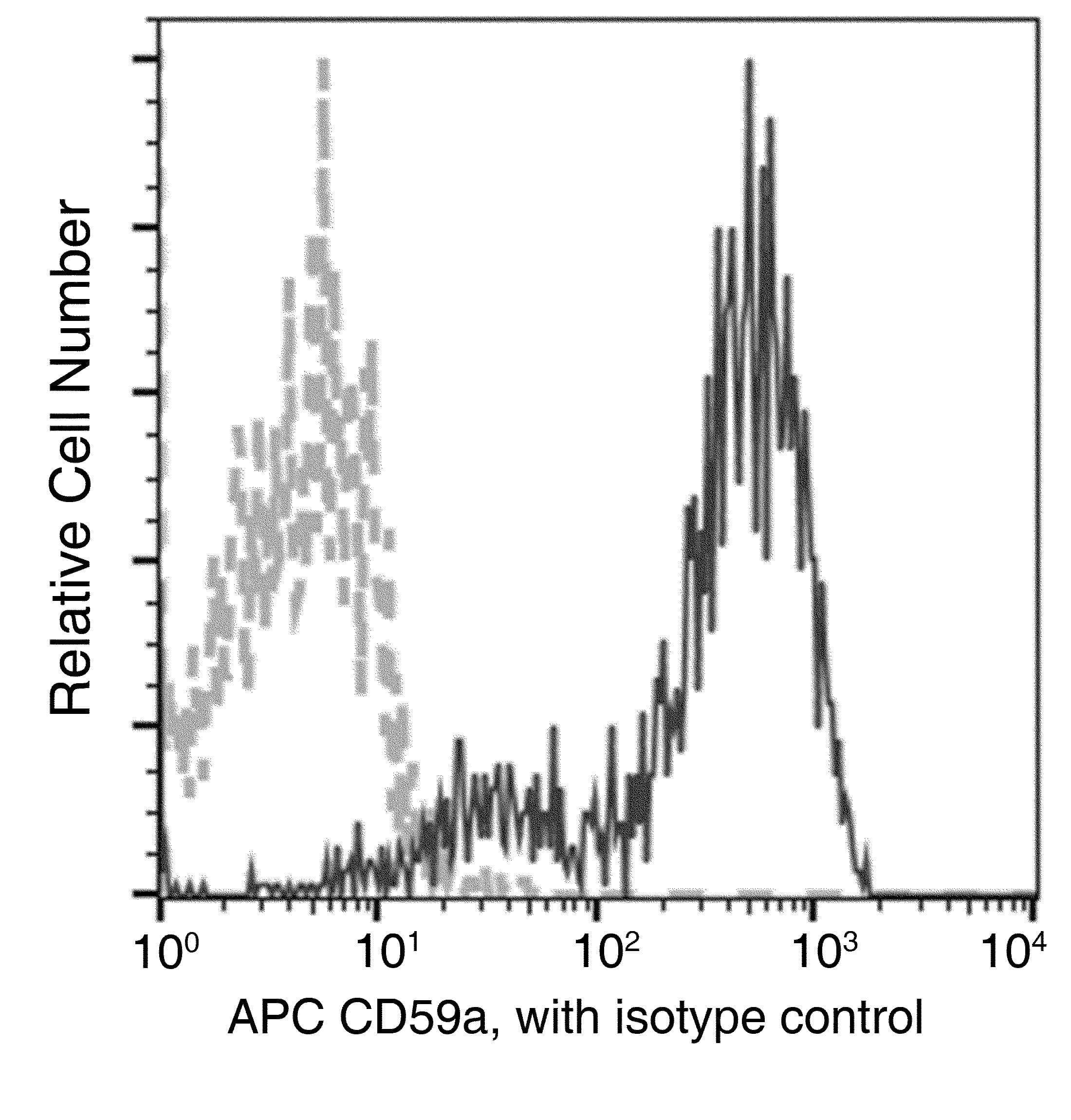 cd59a Antibody (clone 133, APC)