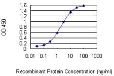 IRS4 Antibody (clone 5B9)