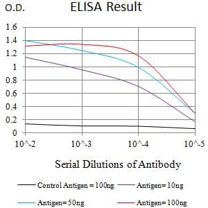 SLAMF8 Antibody (clone 6A4E2C4)