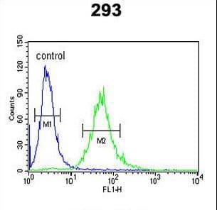 CEA / Carcinoembryonic Antigen Antibody (aa400-429)