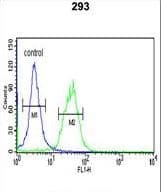 TRIB2 Antibody (aa1-30)