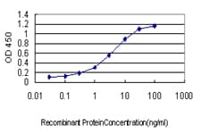 LZTFL1 Antibody (clone 7F6)