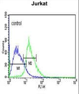 Polyclonal Rabbit anti-Human EHMT2 / G9A Antibody (aa159-186, WB)