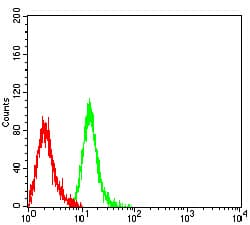 Monoclonal Mouse anti-Human HAVCR2 / TIM-3 Antibody (clone 7C8A7, IHC, WB)
