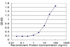 CDK9 Antibody (clone 2D7)