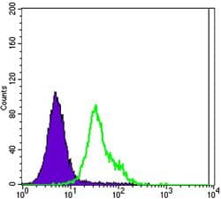 Monoclonal Mouse anti-Human ERBB2 / HER2 Antibody (clone 6C2, Amino Acid: 750-987, IHC, WB)