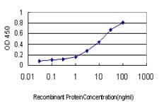 IHC-plus™ PGRMC2 Antibody (clone 3C11)